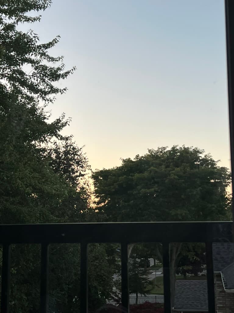 Trees and evening sky viewed from a balcony