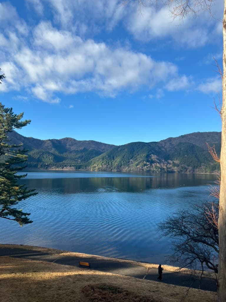 Blue lake surrounded by forested mountains under a bright sky